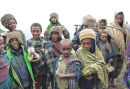 Children of the Simien mountains